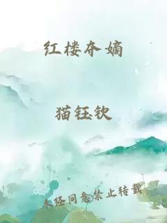 红楼夺嫡